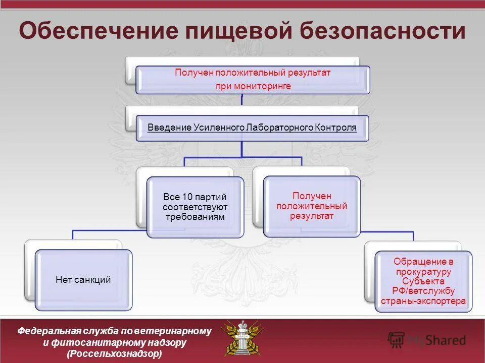 Управление пищевой безопасностью. Обеспечение безопасности питания. Презентация обеспечение ветеринарной безопасности. Системы пищевой безопасности. Международная система обеспечения безопасности пищевой продукции.