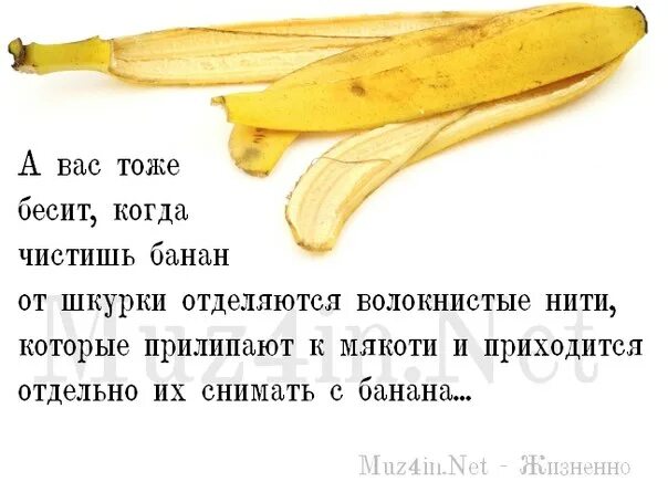 Включи про банан. Банана текст. Анекдот про банановую кожуру. Шутки с банановой кожурой. Анекдот про банан и кожуру от банана.