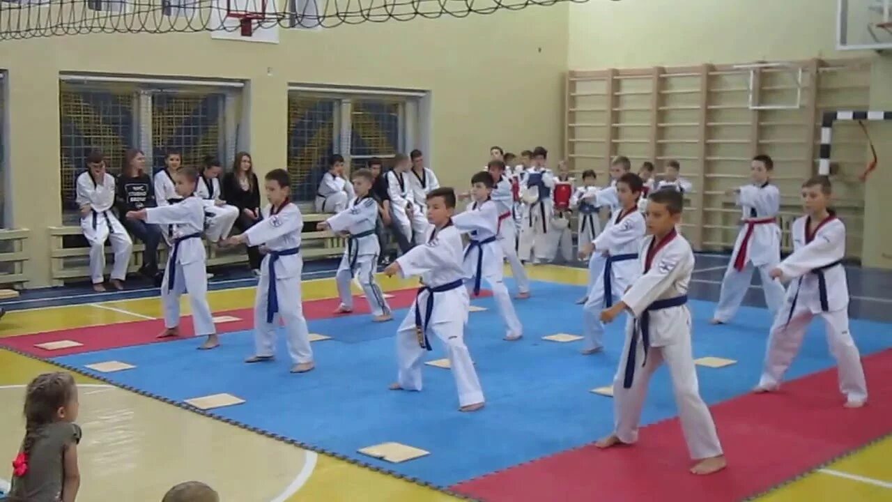 Выступления таэквондо. Показательные выступления тхэквондо. показательное выступление тхэквондо 1. показательные выступления по тхэквондо дети. таэквондо показательные выступления девушки видео.