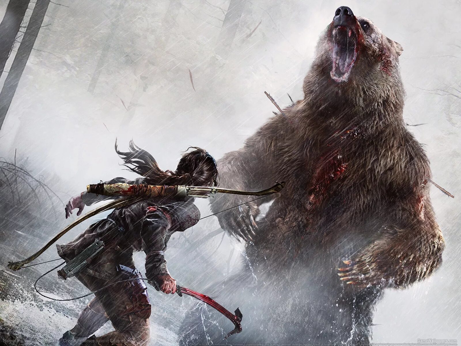 Фото зелёного медведя убийцу. Райдер медведь. Томб райдер 4. Rise of the tomb raider. Rise of the tomb raider.