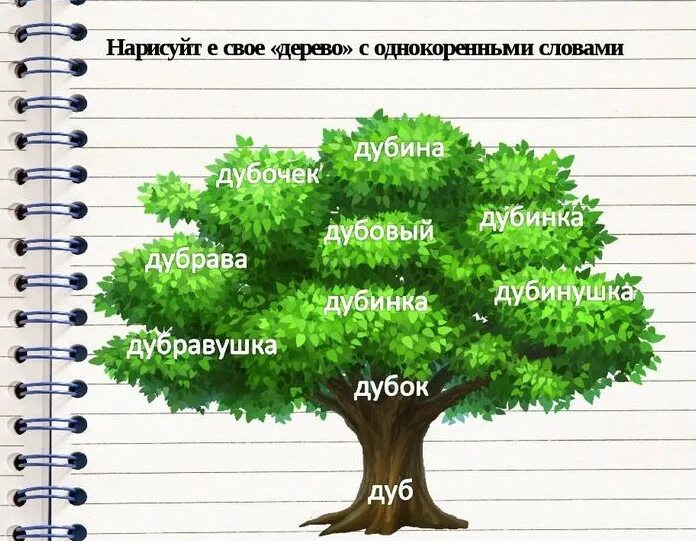 Родственник 3 буквы. Дерево с однокоренными словами. Дере во с однокореныме словами. Дерево однакореные Сова. Дерево с однокоренными словами 3 класс.