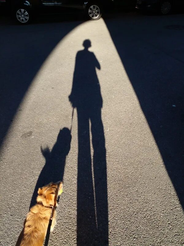 шаги на снегу. человек уходит в небо. о хождение в тени. и хожу по следу словно тень. и хожу по следу словно тень.