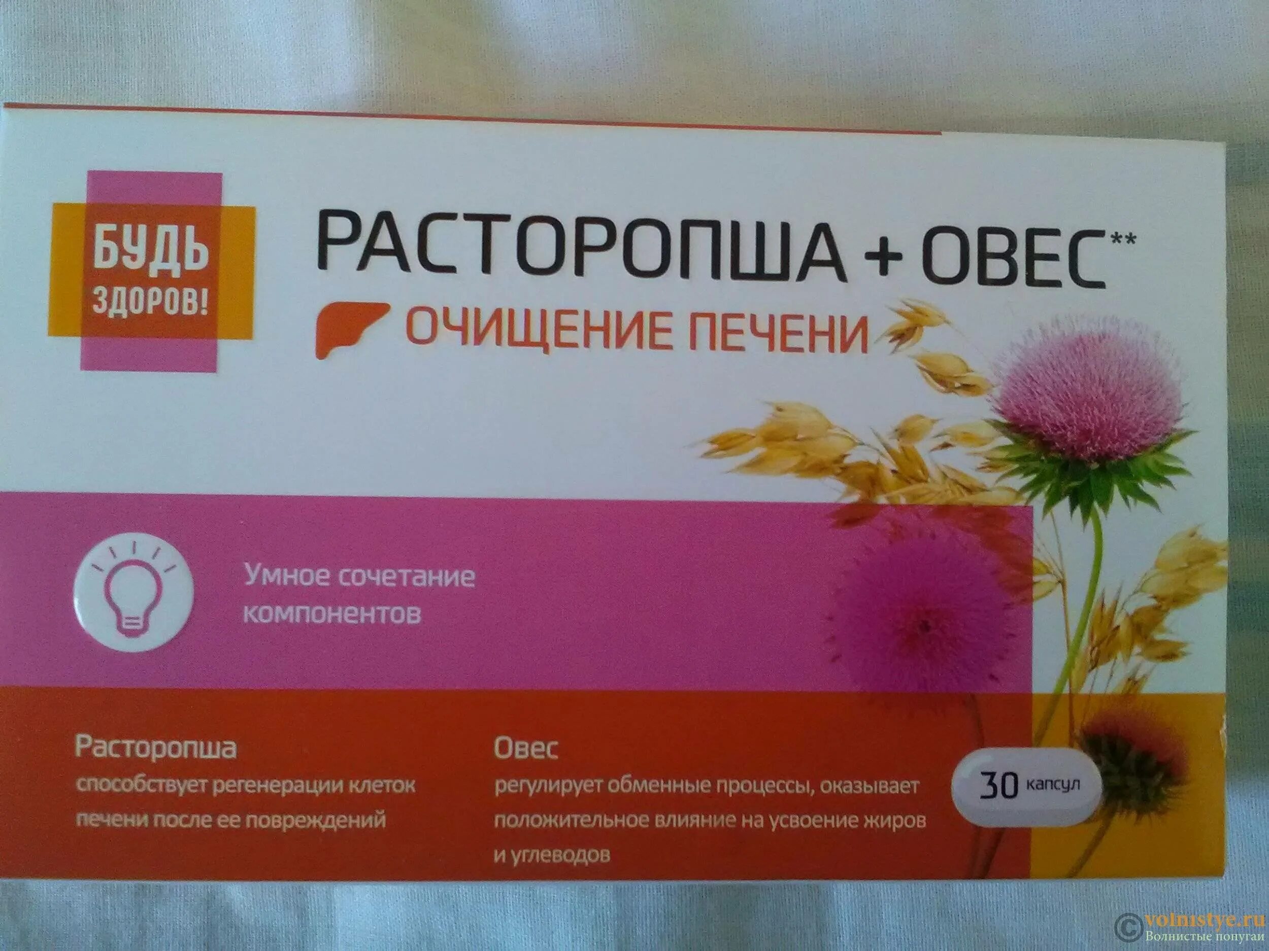 Расторопша для чистки печени