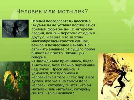 Мотылек 5 слов