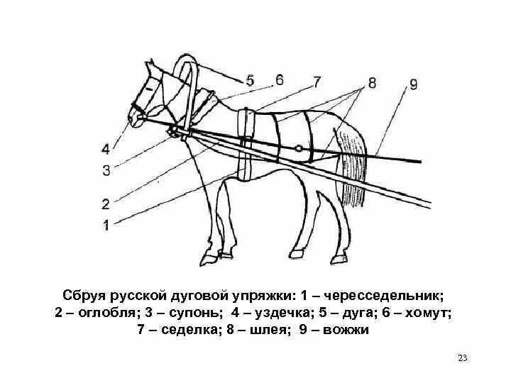 Оглобельно дуговая упряжь. Оглобельно дуговая запряжка схема. Конская упряжь схема. Русская сбруя и ее составные части. Часть упряжи 5