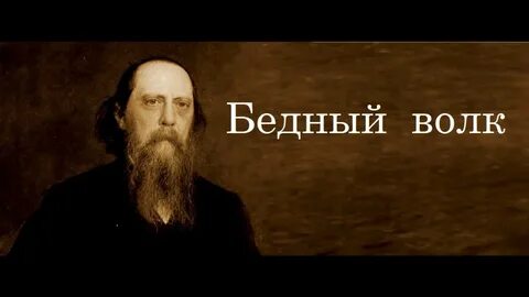 Салтыков бедный волк краткое