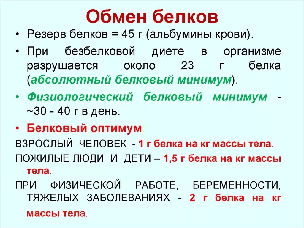 Обмен белков биология. Обмен белков значение. Характеристика обмена белков. Обмен белков кратко. Обмен белков конспект.