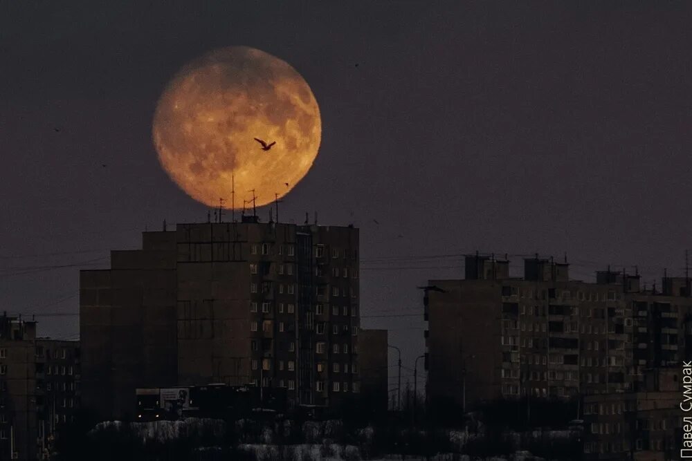Луна становится больше. Луна вчера. Суперлуние Киров. Сегодняшняя Луна. Луна в Москве вчера.