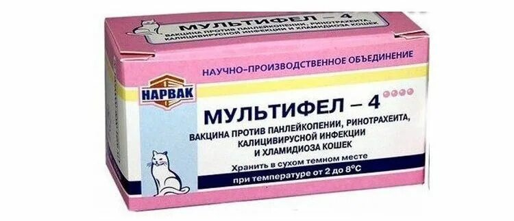 Вакцина мультифел для кошек отзывы. Мультифел-4, вакцина для кошек. Мультифел-4 + Рабифел для кошек. Схема вакцинации Мультифел. Схема прививок для кошек Мультифел-4.