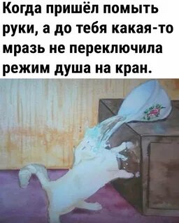 Если б мыло приходило по утрам