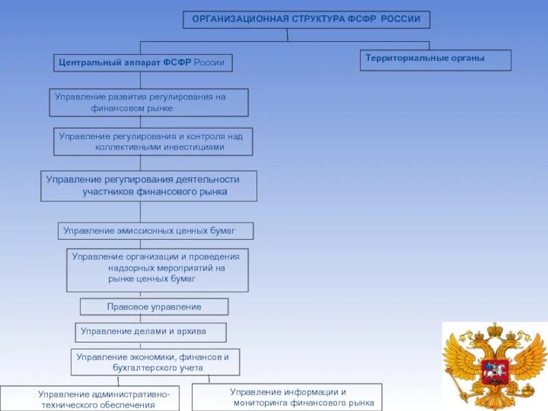 Центральные финансовые органы рф. Структура территориального органа. Территориальные органы России. Структура ФСФР России. Структура ФСР фр России.