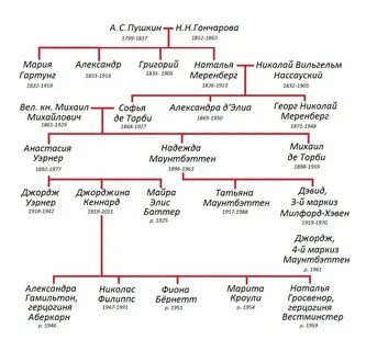 Потомки общего предка это