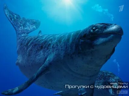 Прогулки с морскими чудовищами