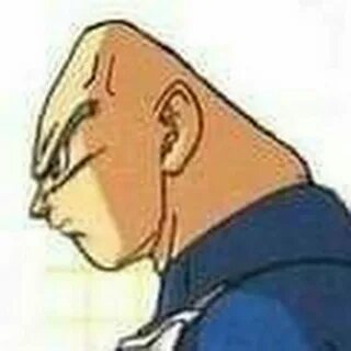 vegeta careca.