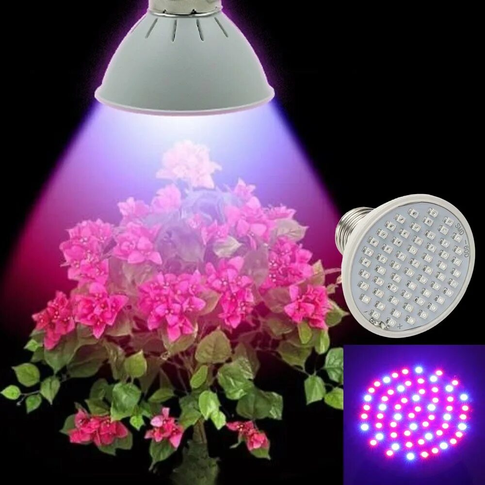 Лампа led grow Light. Фитолампа led grow Light. Лед светильники для растений фулл спектр. Фитолампа модель c200. Красный свет для растений для чего