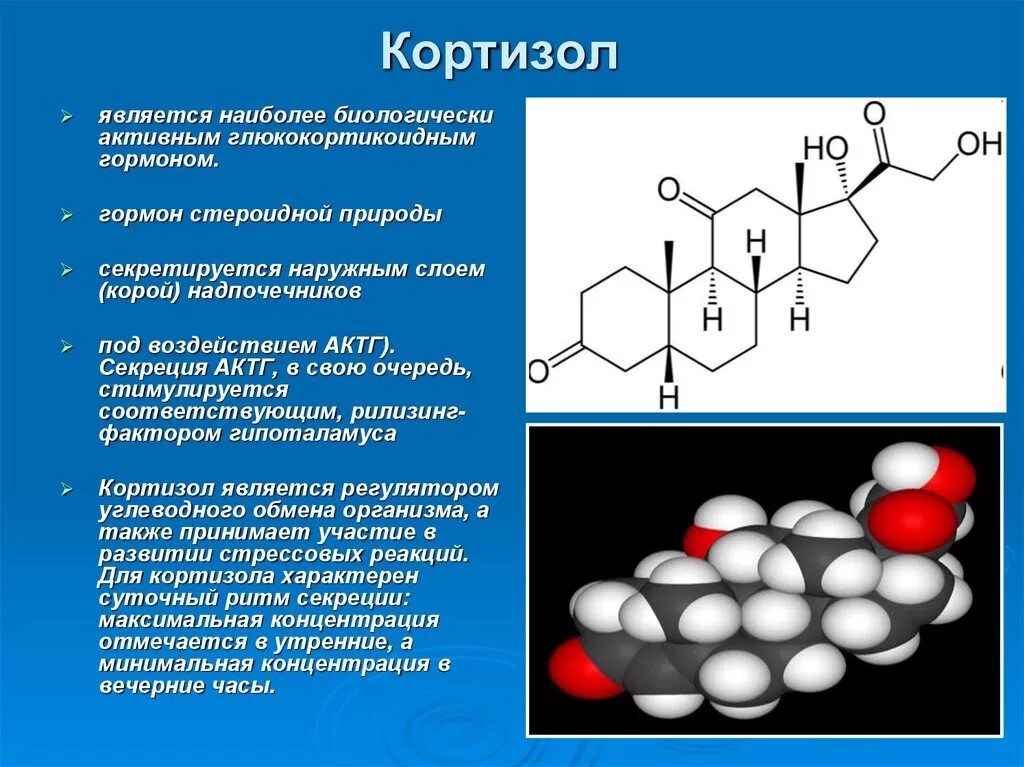 Гормон кортизон химическое строение. Кортизол химическая структура. Химическая структура гормонов кортизол. Кортизол и кортизон функции.
