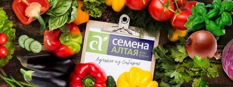 Семена алтая дзен