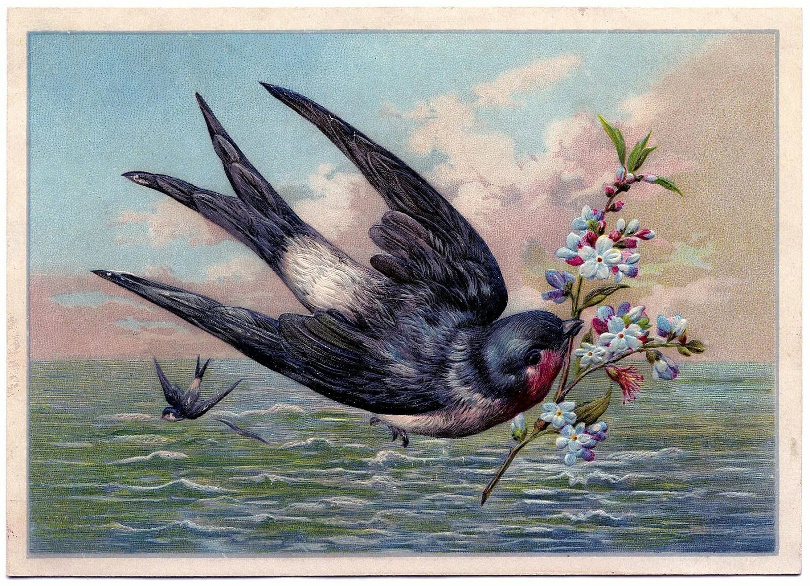 Изящную птицу ласточку называют символом весны. Ласточки живопись. Птицы живопись. Ласточки в живописи художников.
