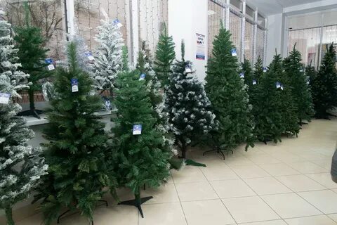 Садовод ели