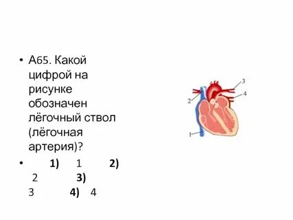 Узнано под цифрой 2
