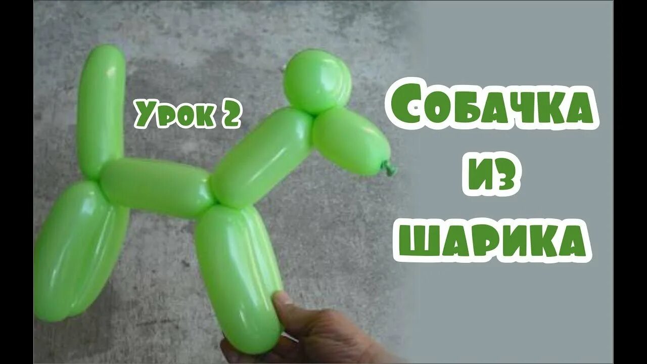 Собачка из шарика колбаски. Собачка из шарика колбаски
