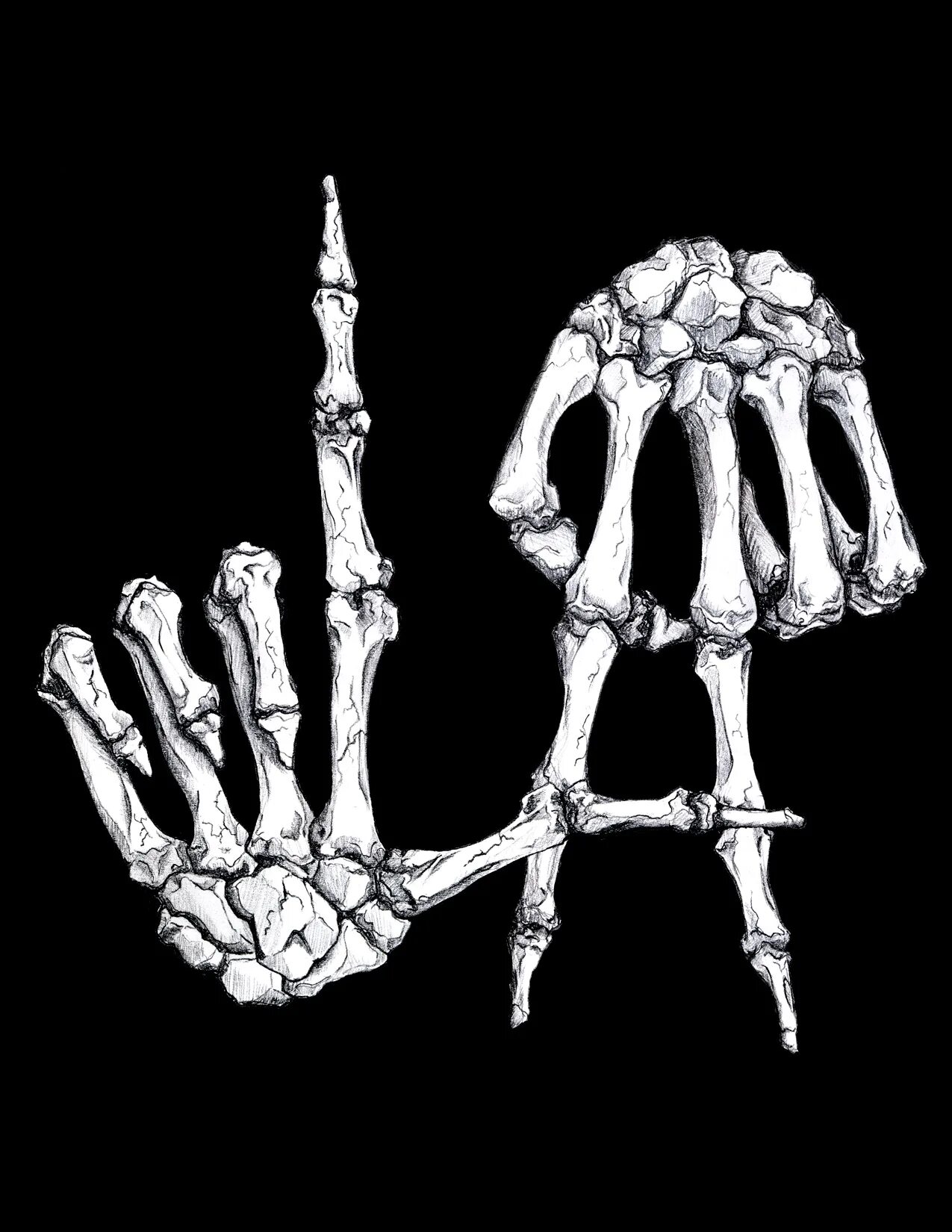 Тату череп на кулаке. Skull hand. Скелет руки человека референс. Скелет руки человека референс. Бандит вектор.