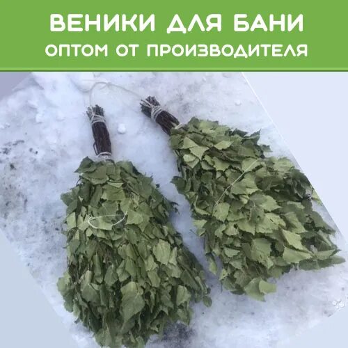 Купить веники для бани оптом