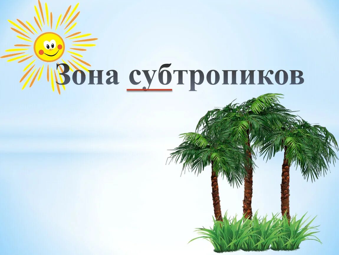 Таблица субтропики 4 класс