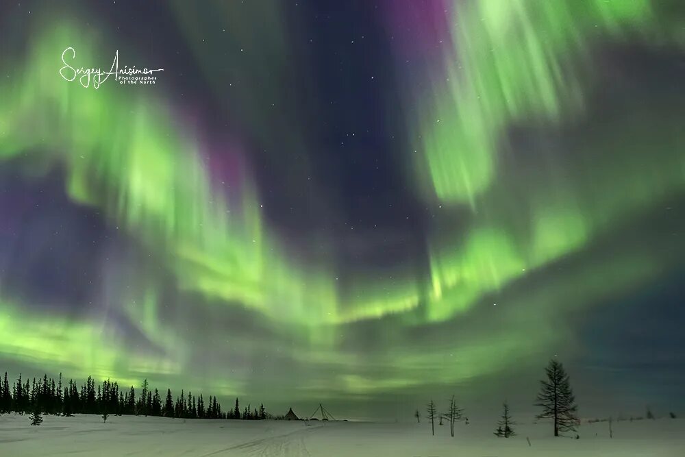 Мурманск алеша северное сияние. Полярное сияние в санкт-петербурге. Хибинские горы северное сияние. Полярное сияние в норвегии. Архангельск северное сияние.
