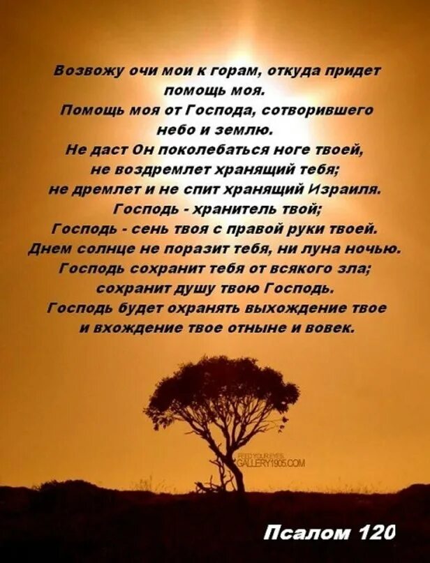 Что значит прийти на помощь определение. Прийти на помощь литература. Прийти на помощь литература. Помощь пришла откуда не ждали. Антидор.