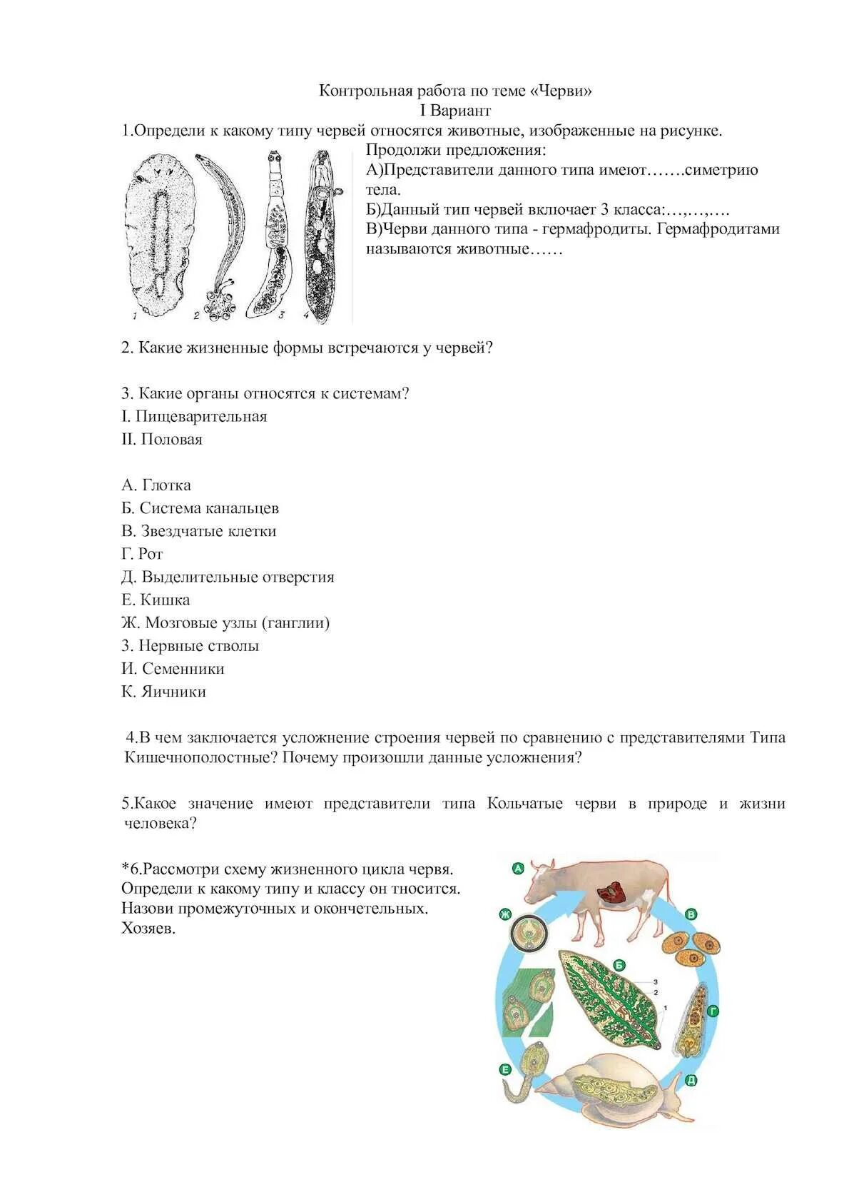 Тест по биологии 7 класс кольчатые черви. Тест по биологии Тип плоские круглые кольчатые черви 7 класс ответы. Тест 7 класс "плоские и кольчатые черви" биология с ответами. Тест по биологии 7 класс черви тестеди. Тест по биологии тема лист