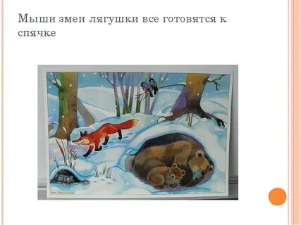 Когда лягушки впадают в спячку