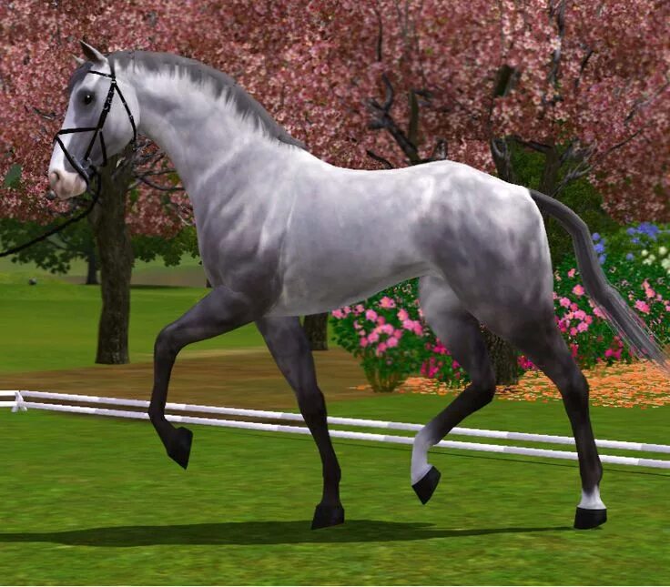 Horse sim. SIMS 3 лошади. Симс 3 породы лошадей. Симс 3 кони. Симс 3 питомцы лошади.