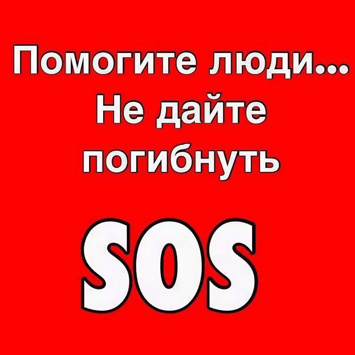 Помогите гибну. Помогите спасти кота. Помогите спасти щенков. Люди помогите мне выжить. Помогите спасти котят.