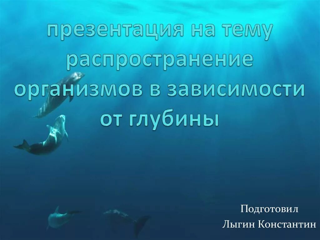 Условия существования живых организмов в океане. Распространение организмов в зависимости от глубины. Распространение живых организмов в океане. Примеры организмов в зависимости от глубины.