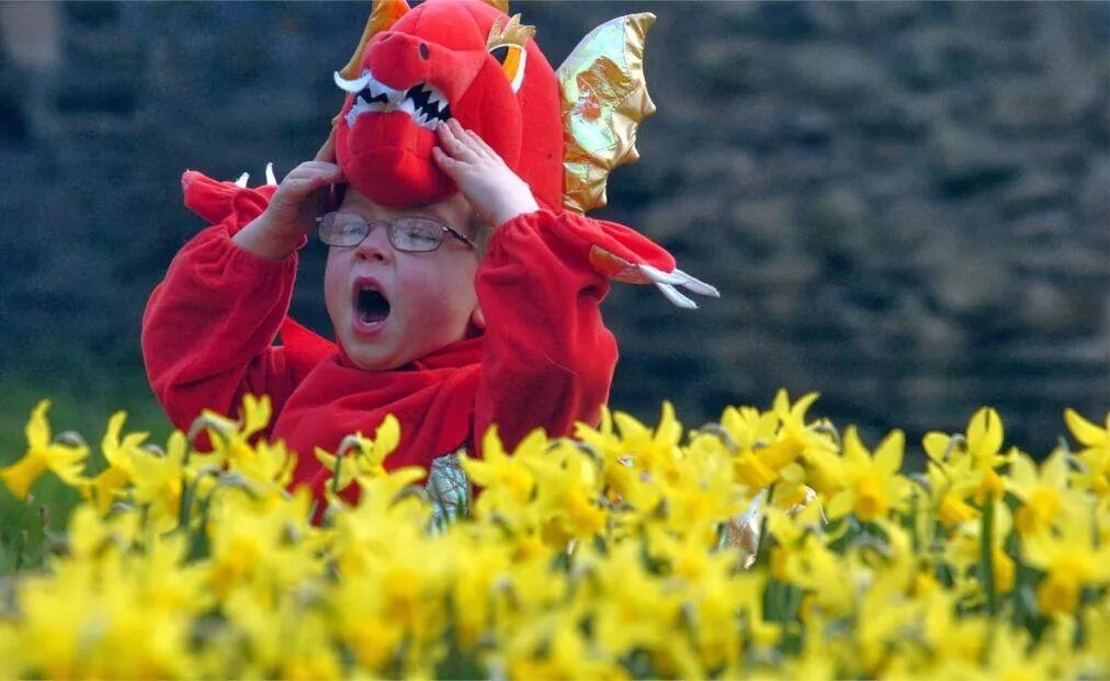 St David's Day в Великобритании. День Святого Дэвида в Уэльсе. День Святого Давида в Уэльсе. День святого в уэльсе