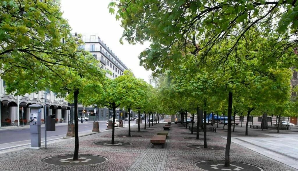 Бульвар унтер-ден-линден. Унтер ден линден улица германия (берлин). Улица под липами в берлине. Улица унтер ден линден в германии. Улица унтер ден линден в берлине.