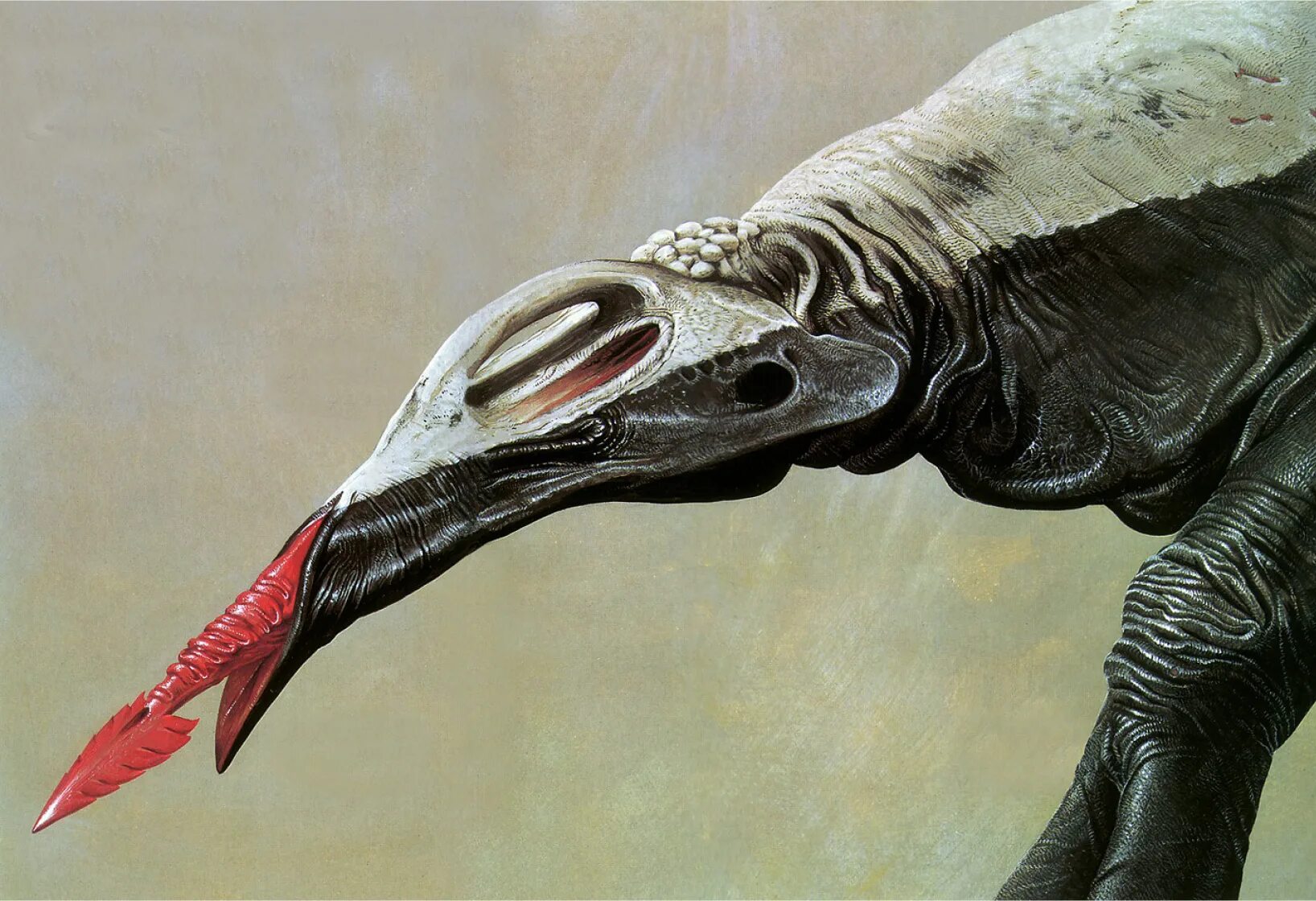 уэйна барлоу "экспедиция 1990 года". уэйн дуглас барлоу аватар. уэйн дуглас барлоу экспедиция. уэйн дуглас барлоу картины. дарвин 4 планета.