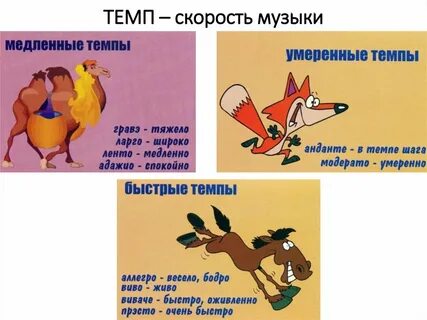 Темп это