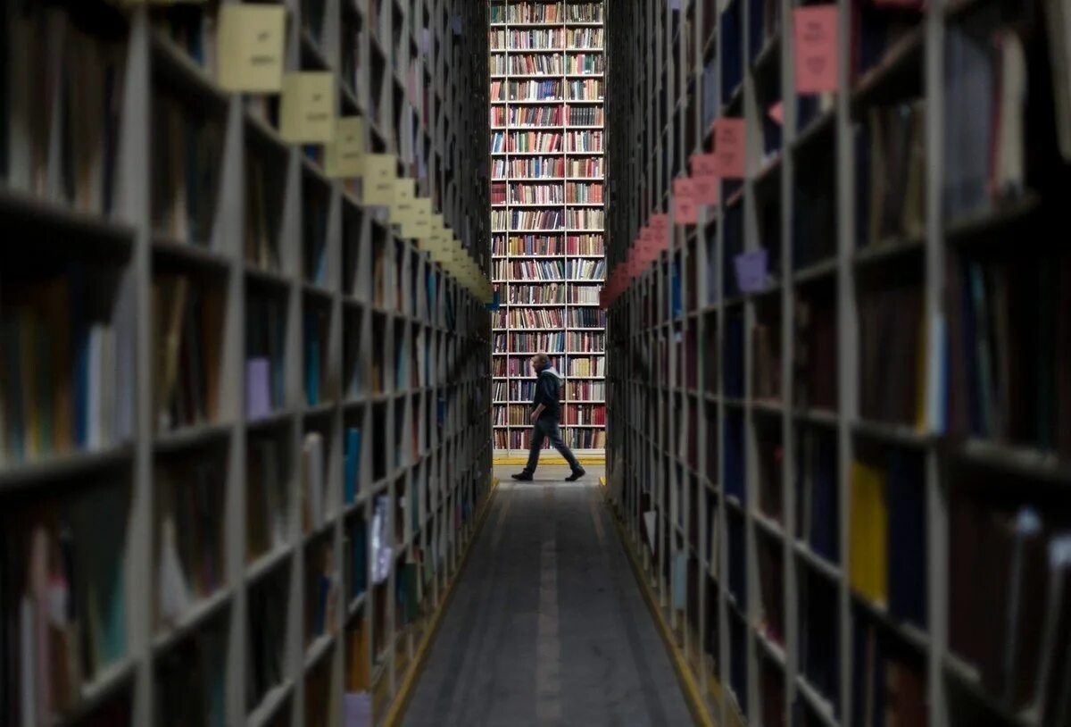 Lib contains. Lib contains