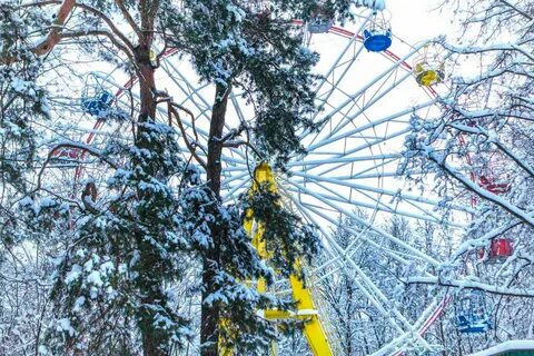 До какого числа работает парк