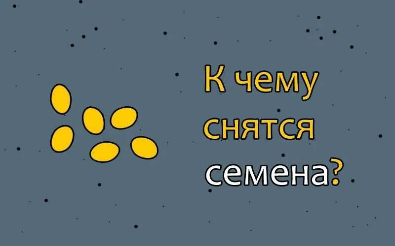 Книги семечки. Сонник семена. Цветы рассада. Доброе семя книга. Семена для сна.