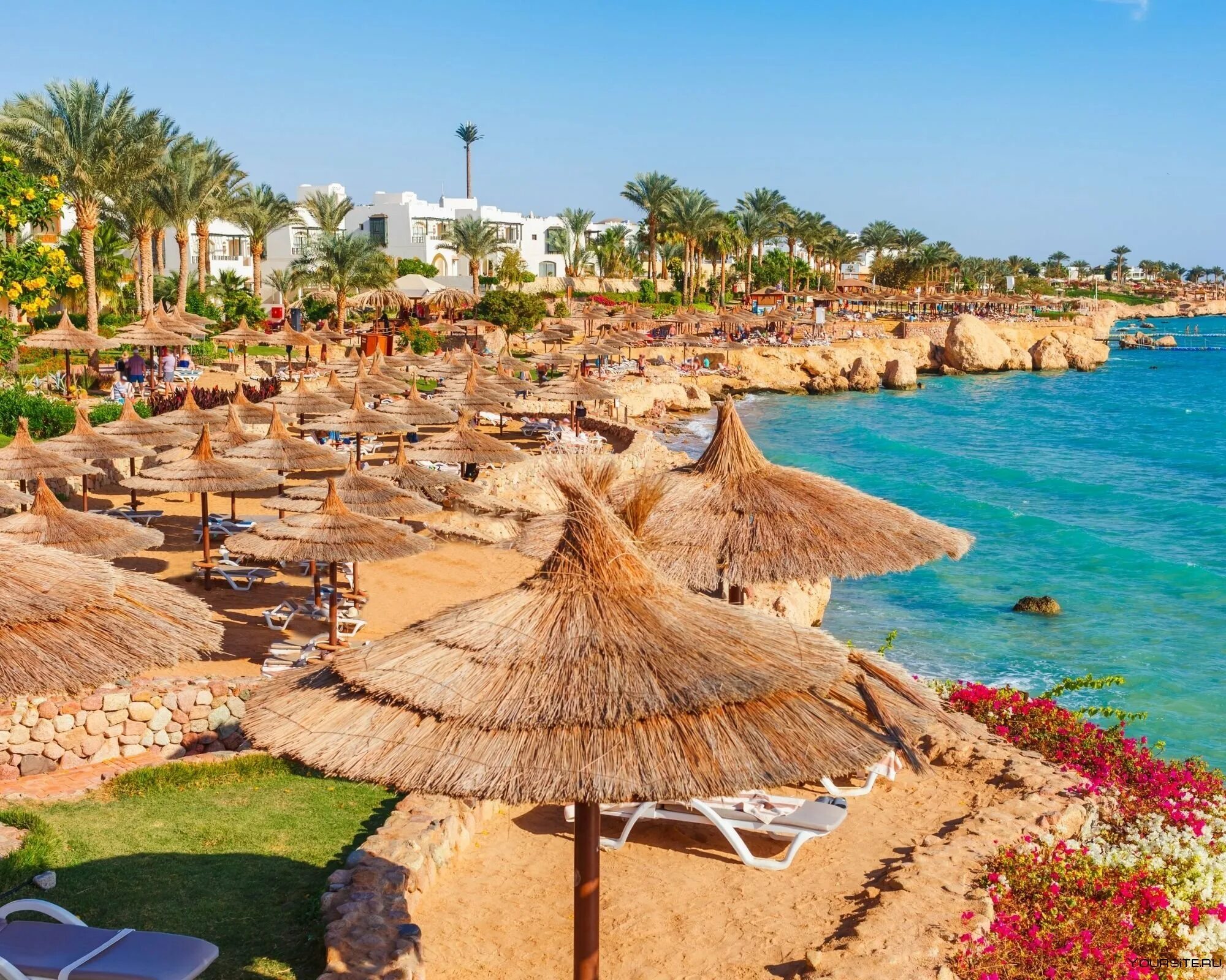 Время перелета до шарм эль шейха. Шарман шейх город. Сколько лететь на самолете до египта. Сколько времени в шарме. Маршрут полета из москвы в шарм-эль-шейх.