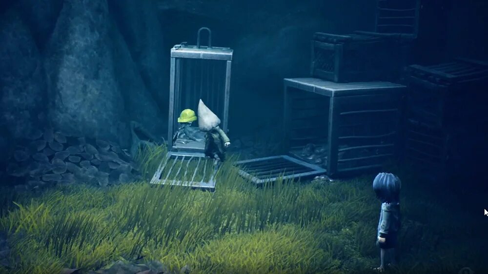 Как пройти уровень игры nightmares. Little nightmares 2. little nightmares 2 лес. little nightmares 2 пустошь. little nightmares клетки.