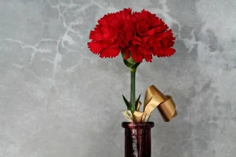 Гвоздики в банке