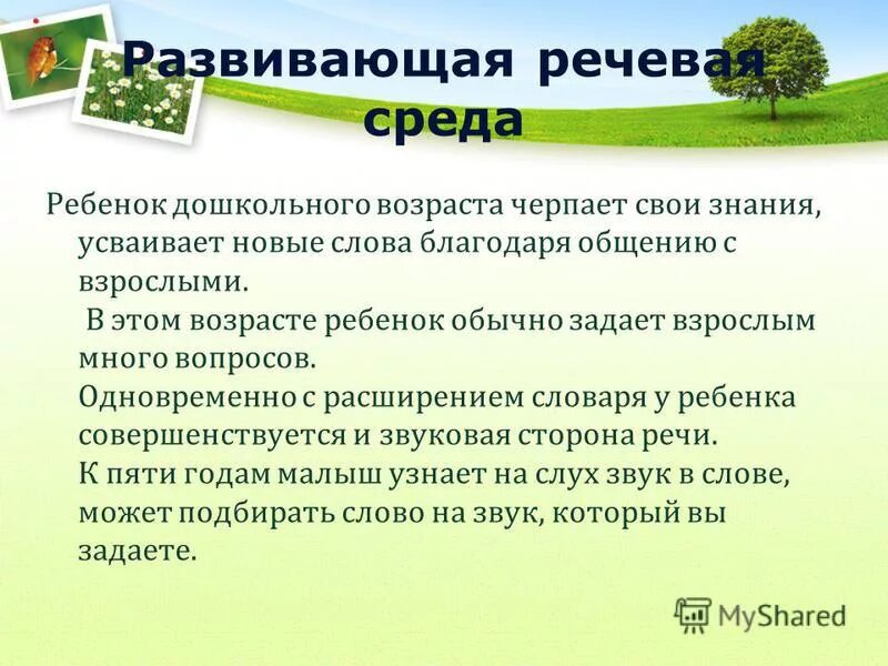 Речевое окружение. Речевая развивающая среда. Речевая среда ребенка. Адекватная речевая среда. Речевая среда в развитие речи.