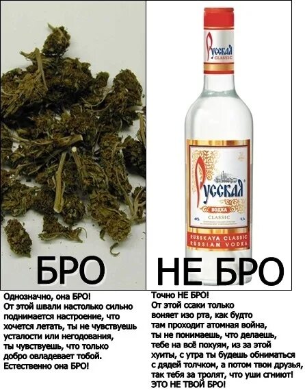 Ро не бро. Бро не бро. Бро не бро мемы. Это не твой бро.