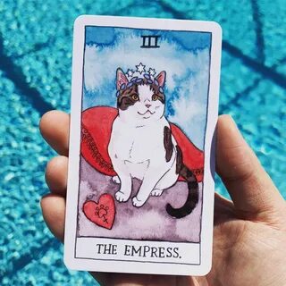 Cat tarot