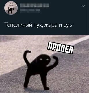 Ъуъ мем