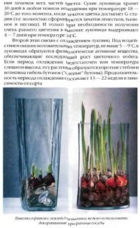 Брат и сестра поливали грядку длиной